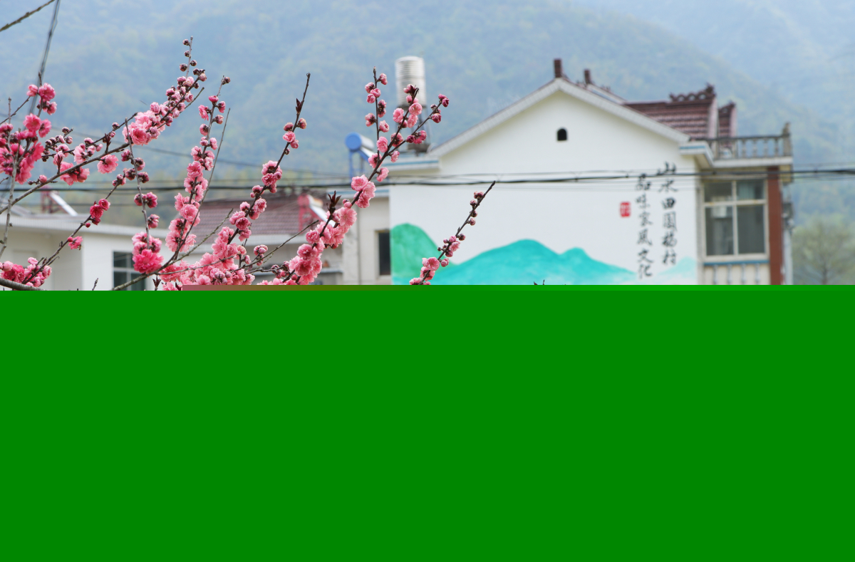 美翻了我的村第84期 | 安徽省池州市貴池區(qū)元四村：古村風韻 純樸民風